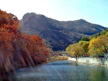 新澳天天开奖资料大全旅游团，导热油炉yqglj